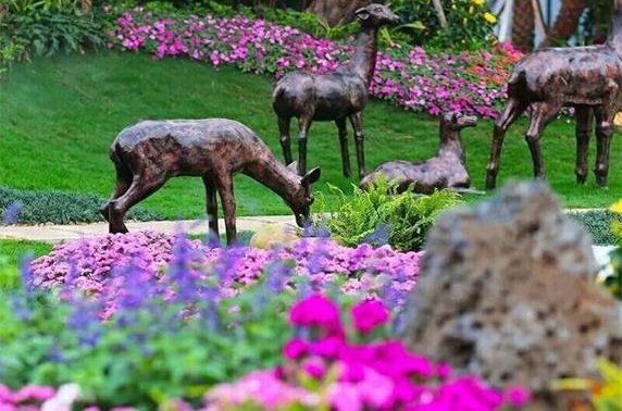 ���wɢ���� �� �̹��@��������һ�(xi��ng)Ŀ��ӆ_���wɢ����